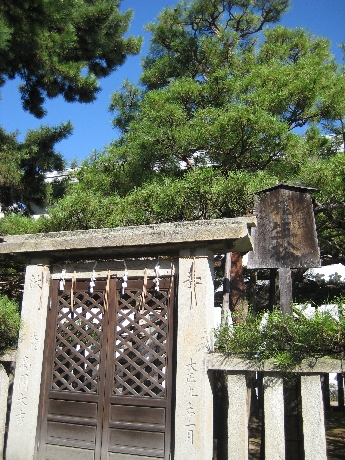 愛の精霊が宿る松「相生の松」IN 高砂神社: ☆ぶらり高砂☆高砂市観光情報